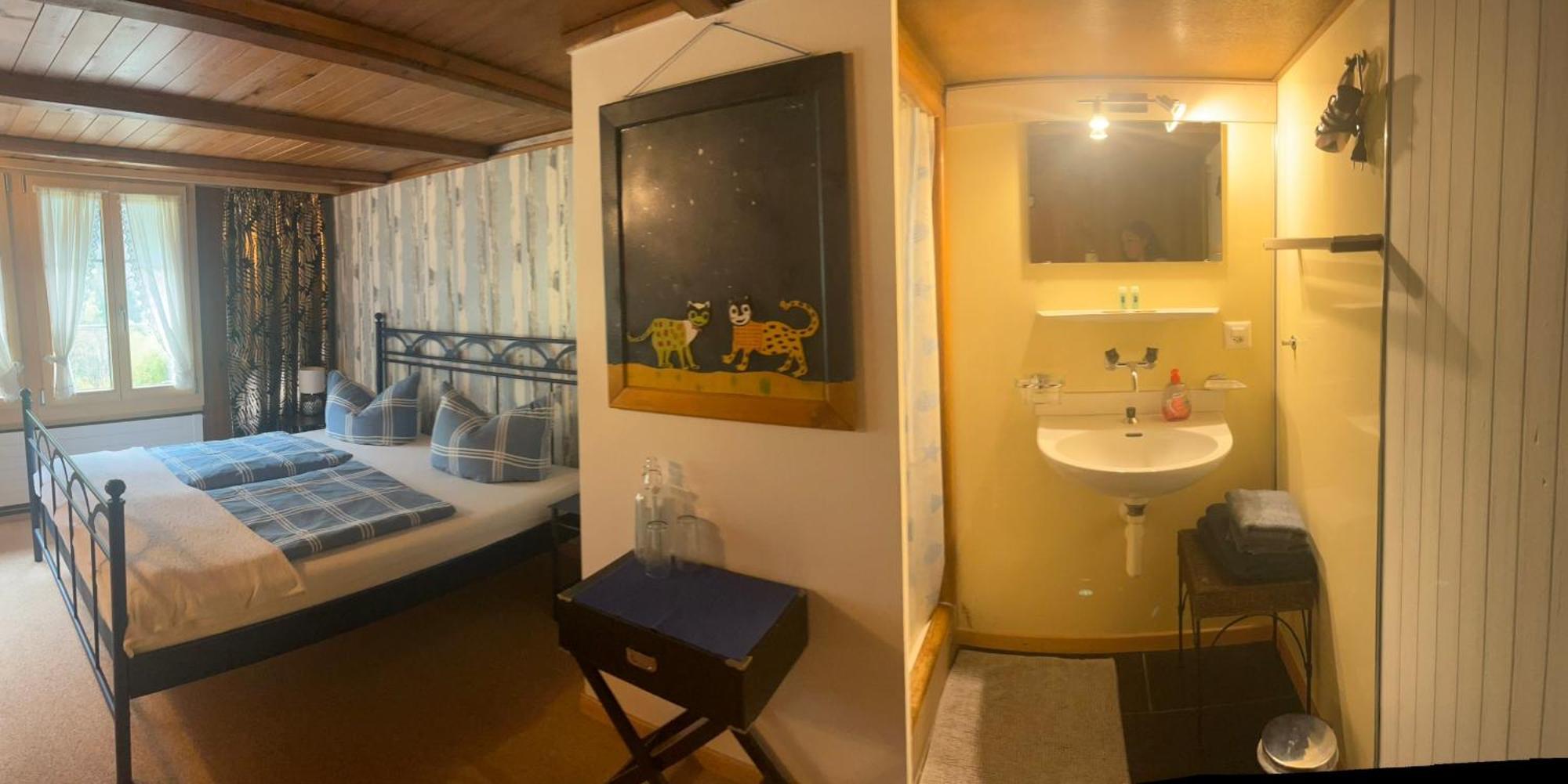 "Terrasse" Nessental Hotel Gadmen Ngoại thất bức ảnh